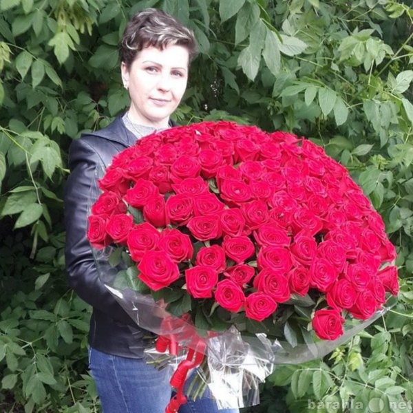 Продам: 101 роза в Липецке