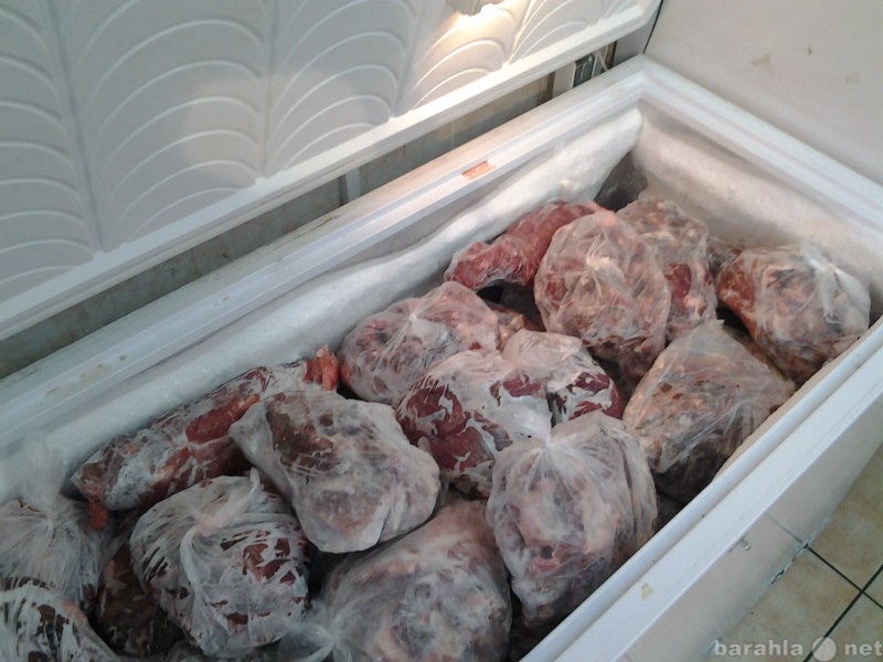 Продам: Мясо на корм домашним животным
