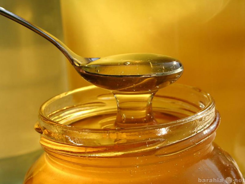 Продам: Свежий цветочный мёд, 2014 г. Доставка