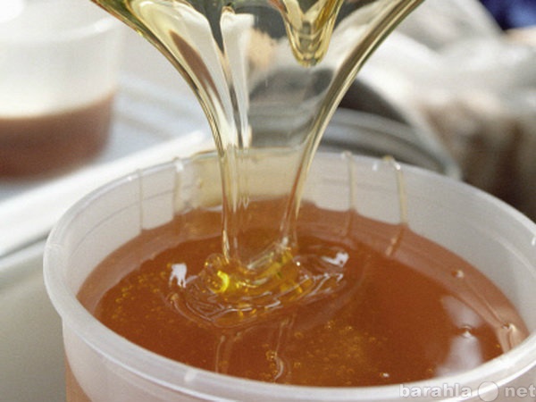 Продам: Свежий мёд 2014 года оптом