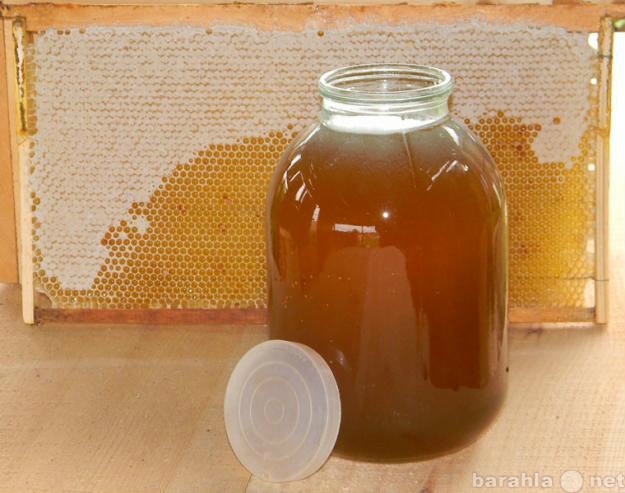 Продам: мёд натуральный 100% цветочный 3л.-1100р