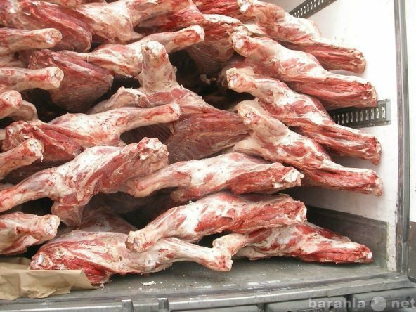 Продам: Мясо оптом от производителя