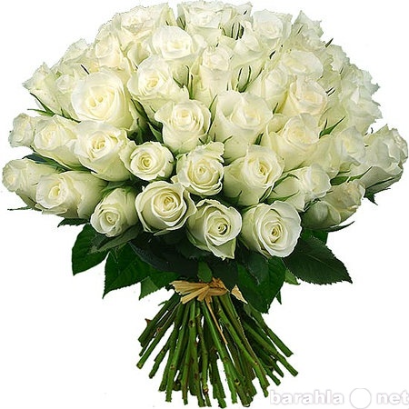 Продам: Лучшие цветы в Иркутске! Розы 25 шт.