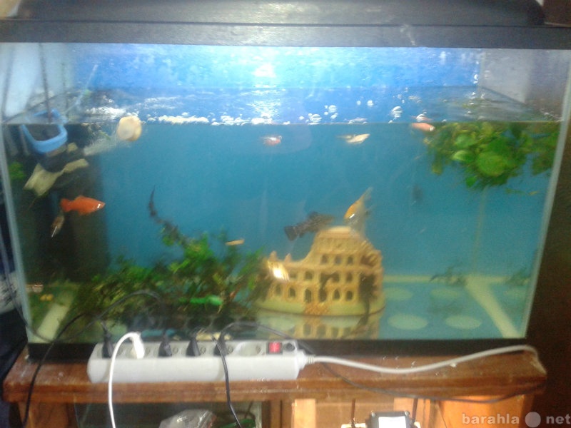 Продам: продам аквариум на 140 литров