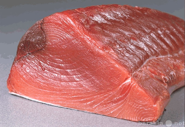 Продам: морепродукты (тунец, рифовая рыба)