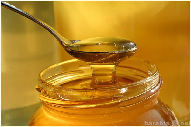 Продам: Мёд из села Соловцовка. Урожай 2014 года