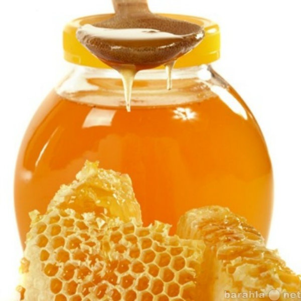 Продам: Свежий мёд