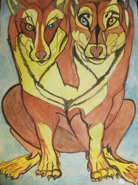 Продам: Рисунок "койот сиамский близнец&quo