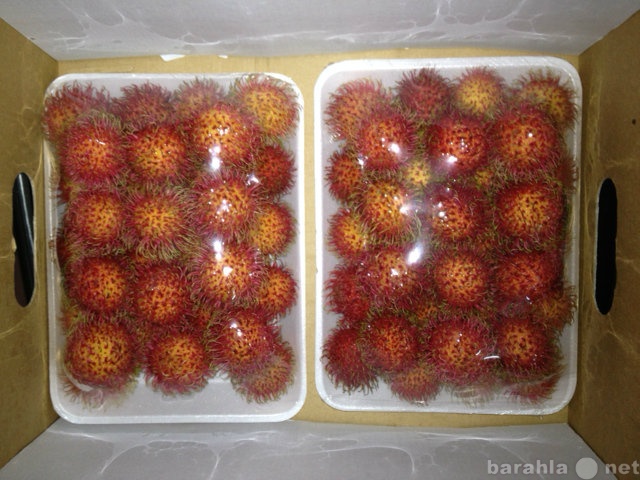 Продам: Свежие экзотические фрукты из Вьетнама