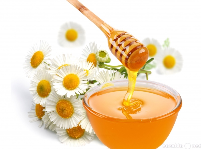 Продам: Натуральный цветочный мед