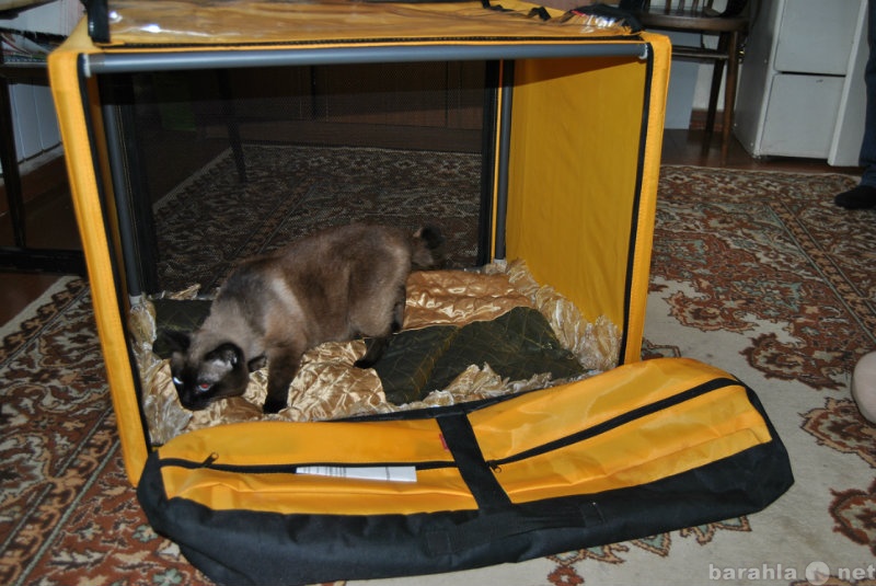 Продам: Палатка для кошки