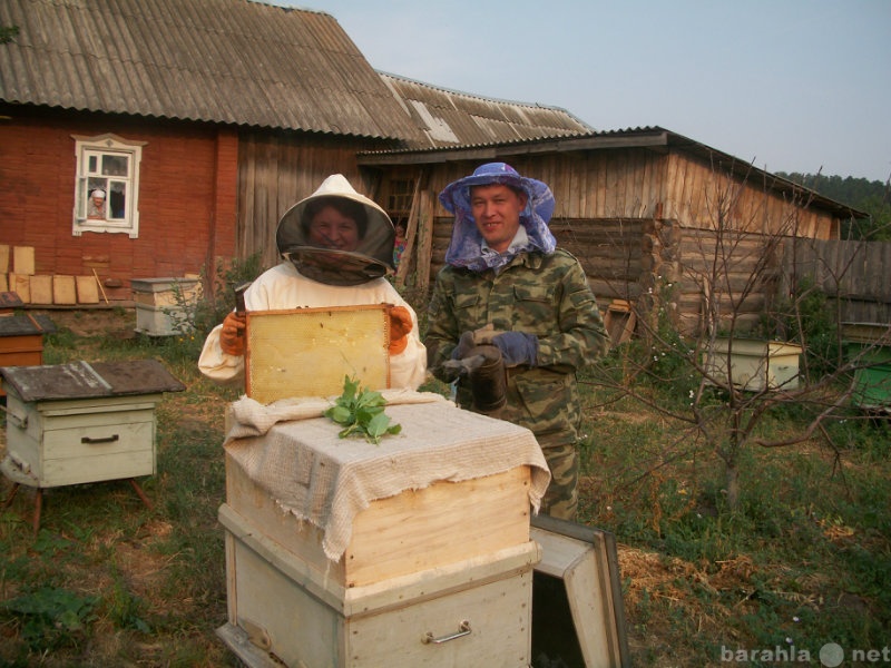 Продам: Мёд НАТУРАЛЬНЫЙ