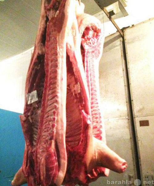 Продам: Свинина, говядина в полутушах