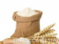 Продам: Клейковина пшеничная (Глютен), 500 гр
