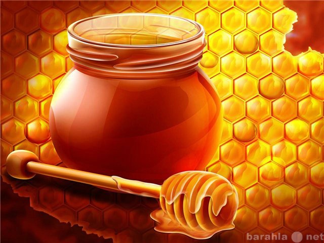 Продам: Натуральный мёд с собственных пасек
