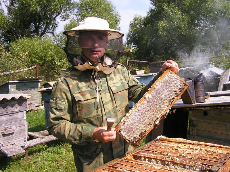 Продам: мёд цветочный 100% натуральный