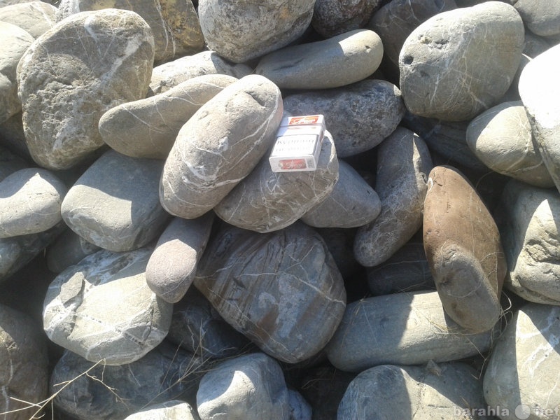 Продам: Морской камень