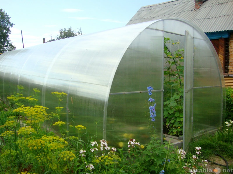 Продам: садовую теплицу с покрытием-поликарбонат