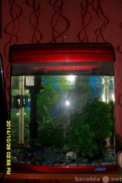 Продам: Продам аквариум 30 литров