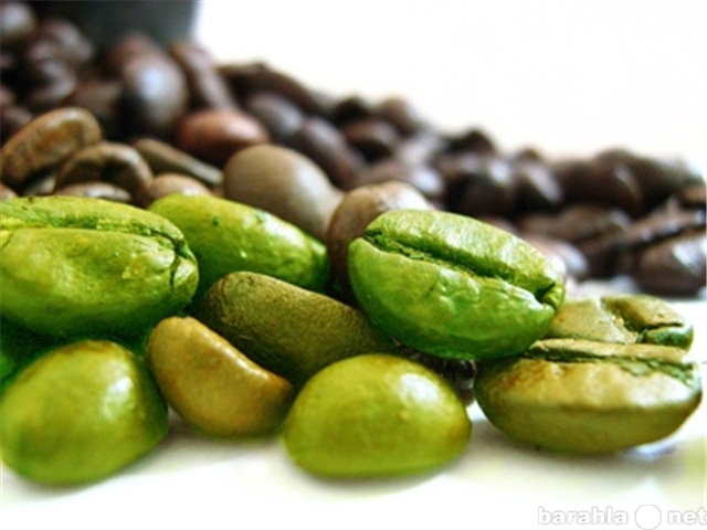 Продам: Кофе зеленый в зернах