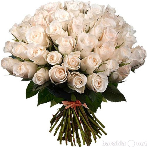 Продам: цветы, букет 25 роз - 1 500 рублей