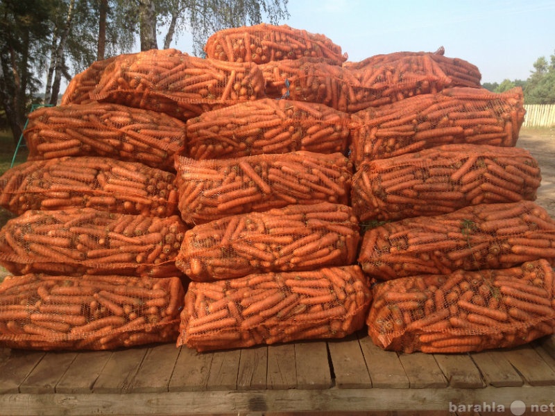 Продам: Морковь оптом из РБ