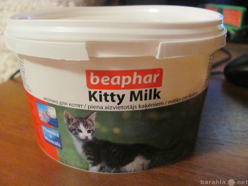 Продам: молоко для котят