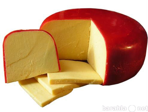 Продам: Сыр твердый оптом от 100кг.