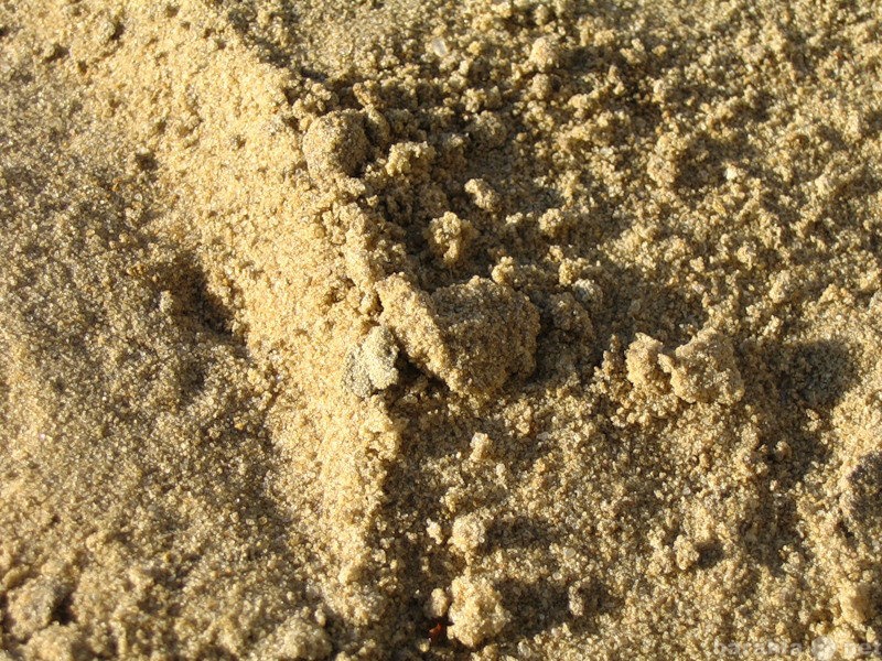 Продам: строительный песок с доставкой