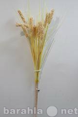 Продам: Ветка пшеницы просо высота 70 см