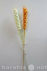 Продам: Колосок-кукуруза 58 см