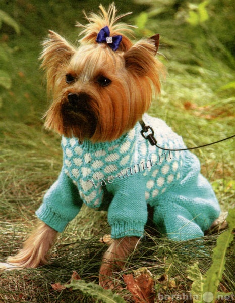 Продам: Вязанную одежду для собак
