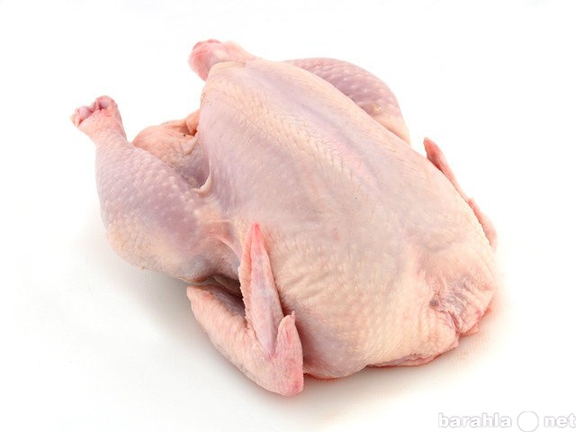 Продам: Парное мясо домашней птицы