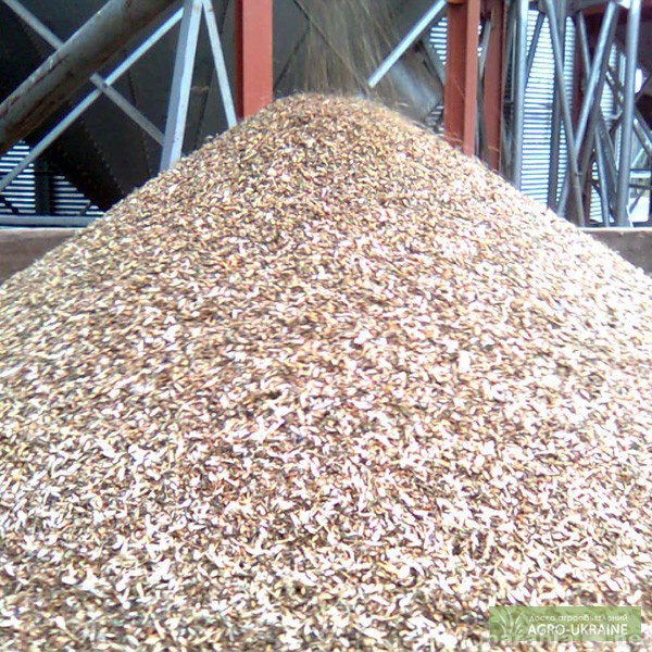 Продам: Пшеничные зерноотходы