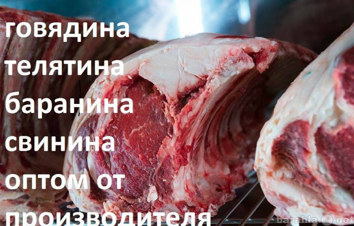 Продам: Реализуем охлаждённое мясо говядины