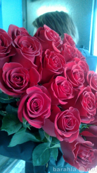 Продам: Розы и букеты для тех, кто влюблен!!!