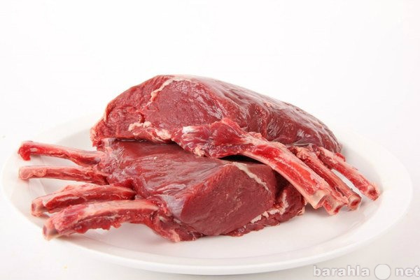 Продам: Мясо марала