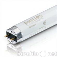Продам: Лампа люминесцентная TL-D Philips 18/54