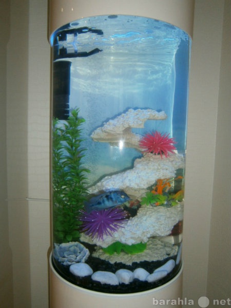 Продам: Комплексный аквариум 130 л Marvelous