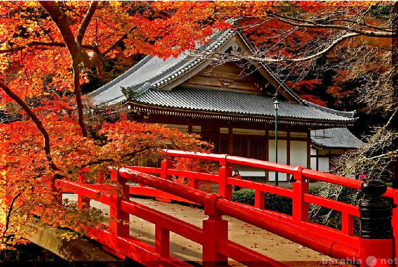 Продам: Картина на холсте - Сад Кленов в Киото