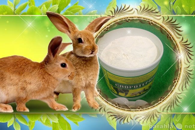Продам: Споровый пробиотик  для кроликов