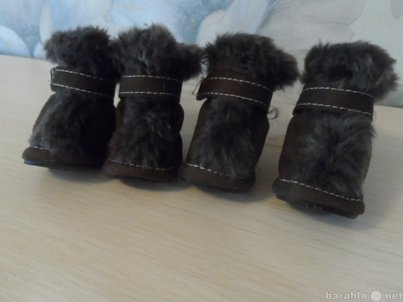 Продам: Ботиночки зимние 2-й размер для собаки