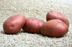 Продам: Картофель семенной оптом от производител