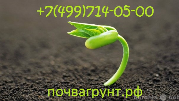 Продам: Растительный грунт, Чернозем, Доставка