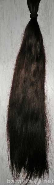 Продам: волосы натуральные эжно-русские