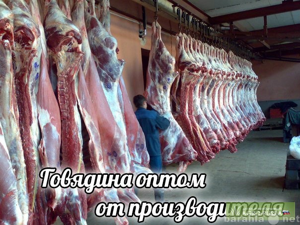 Продам: Предлагается к продаже говядина,свинина