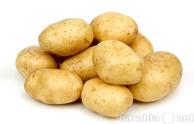 Куплю: Картошка