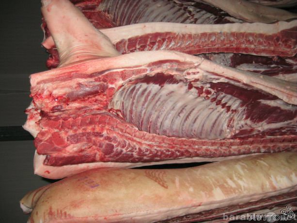 Продам: Продаем мясо Свинины оптом и в розницу