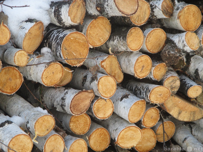 Продам: дрова сухие сосновые