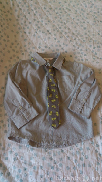 Продам: Рубашка+ галстук (Kiabi)